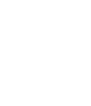 pp official logo